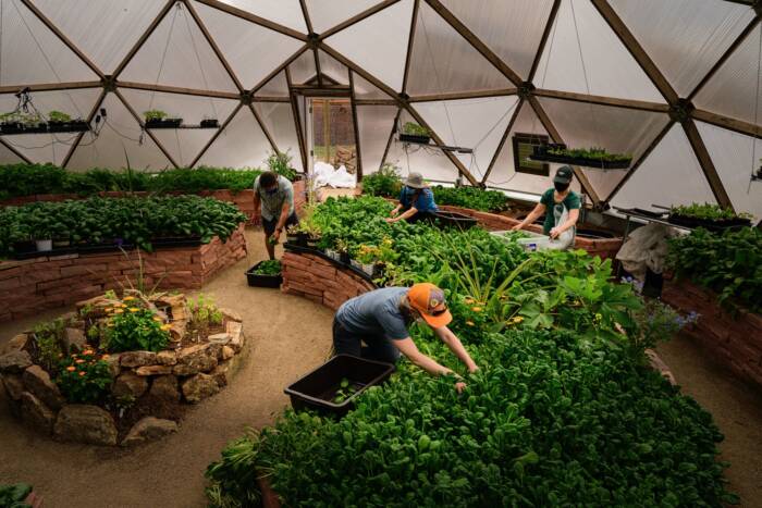 People gardening in a geodesic greenhouse