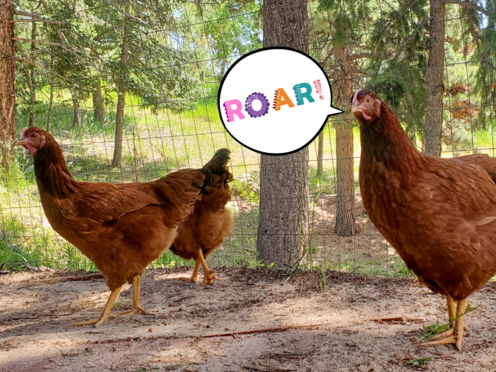 Subheading - Growing Spaces Greenhouses Chicken dinosaur