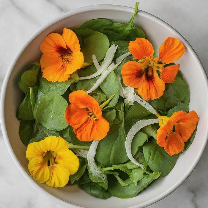 Gemini_Generated_Image_uhi0s0uhi0s0uhi0 - Growing Spaces Greenhouses nasturtium salad