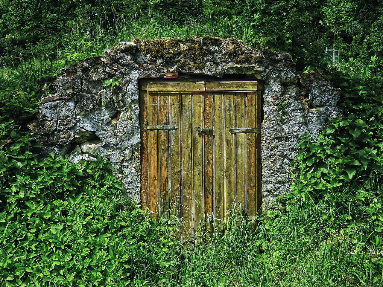 root cellar built into a hillside