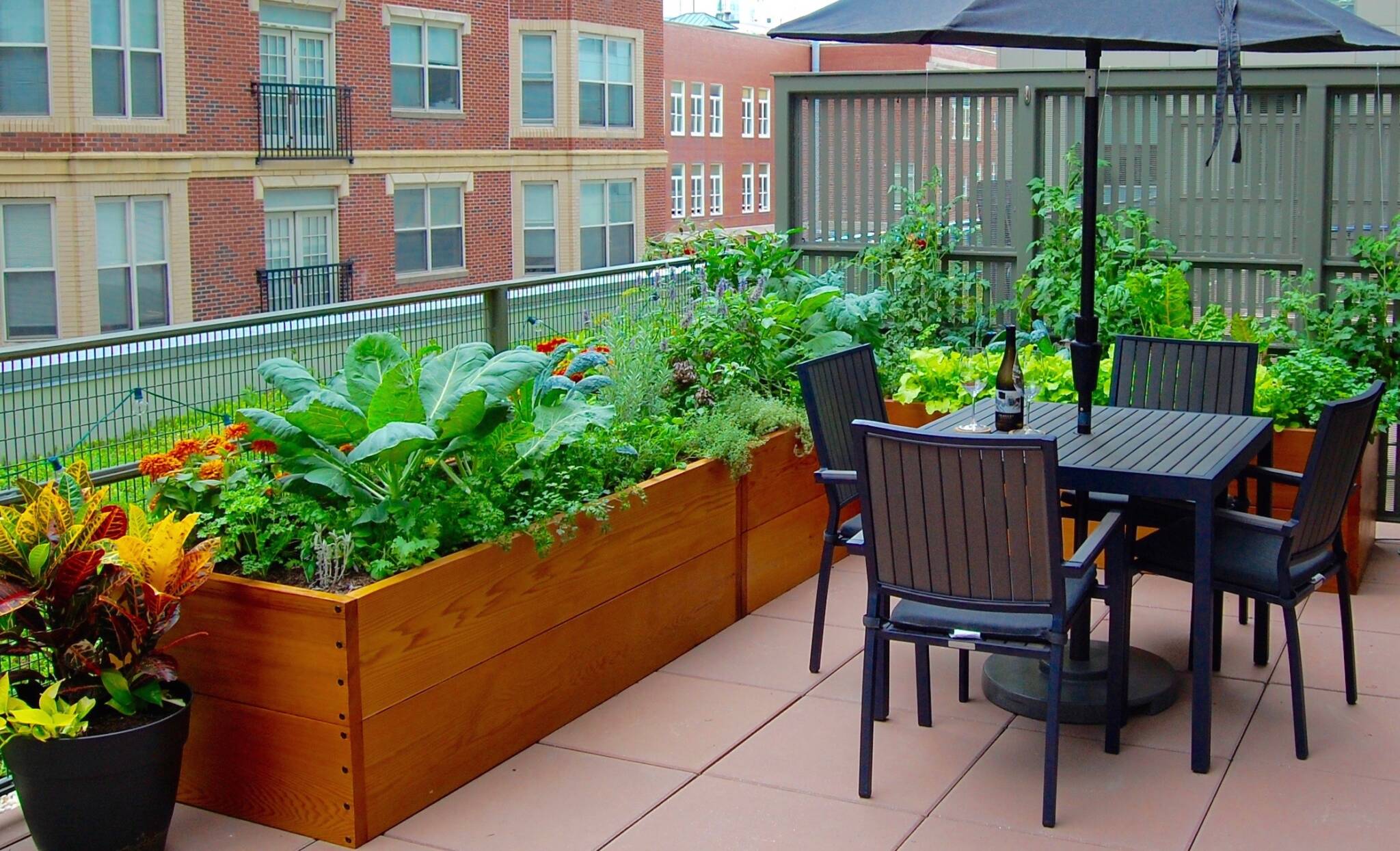 Cedar raised bed; rooftop edible garden with self watering wicking system.