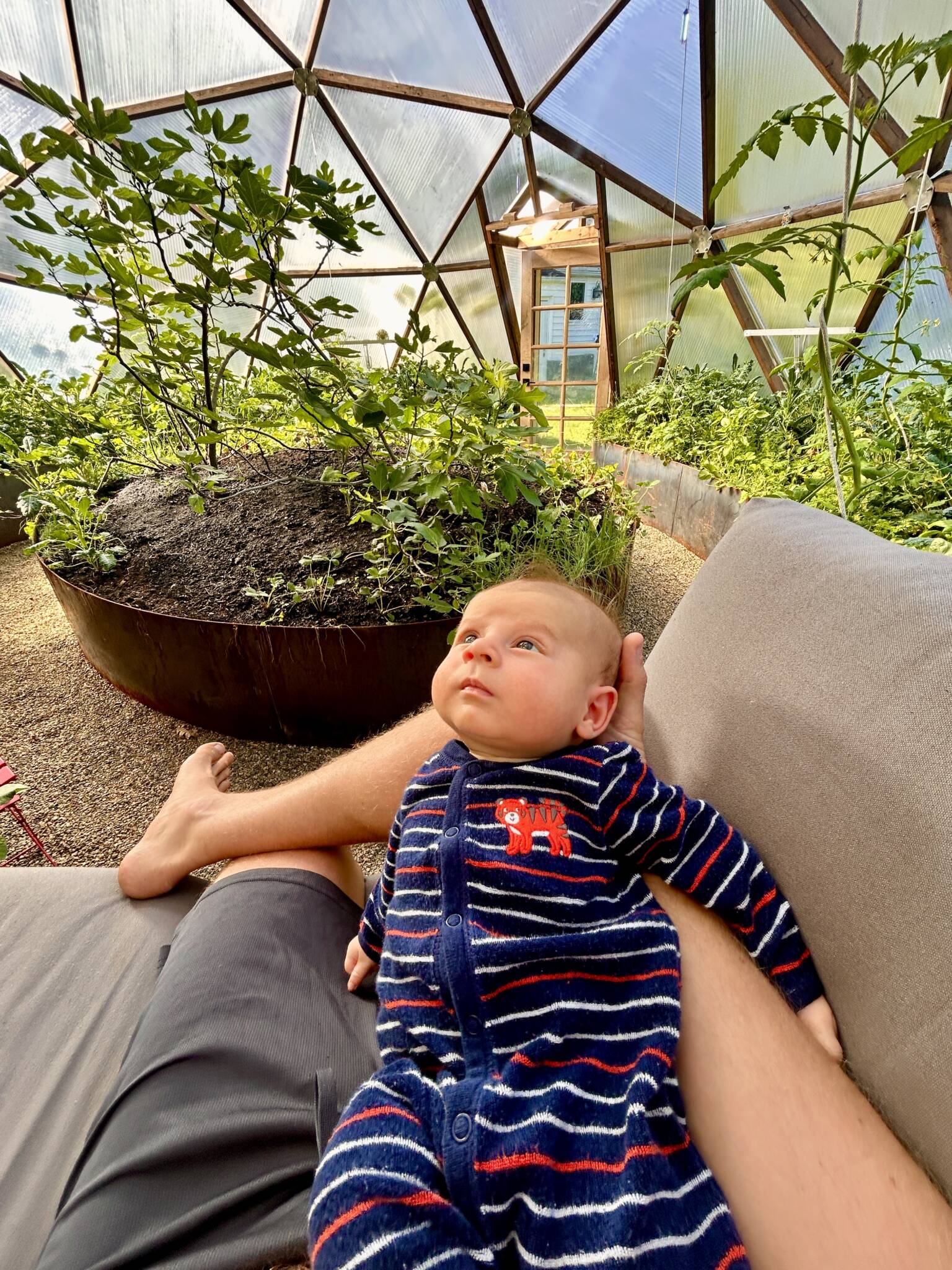 Ben Barkan's son lying on a couch in a Growing Dome geenhouse