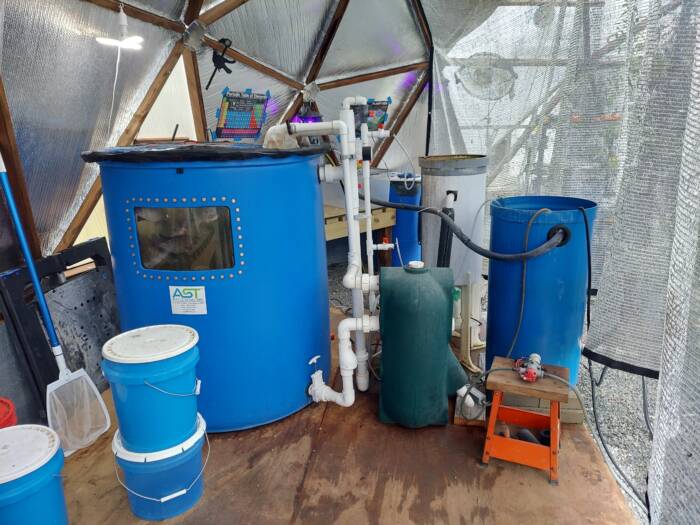 A blue AST fish tank with pipes running to a bead filter and other mechanical filers in a Growing Dome