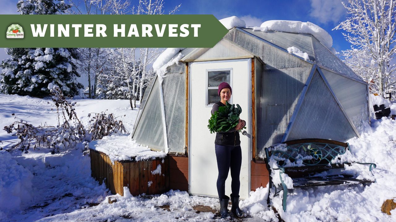 A woman wearing a beanie stands outside a Growing Dome greenhouse covered in snow and holds vegetables she has harvested.