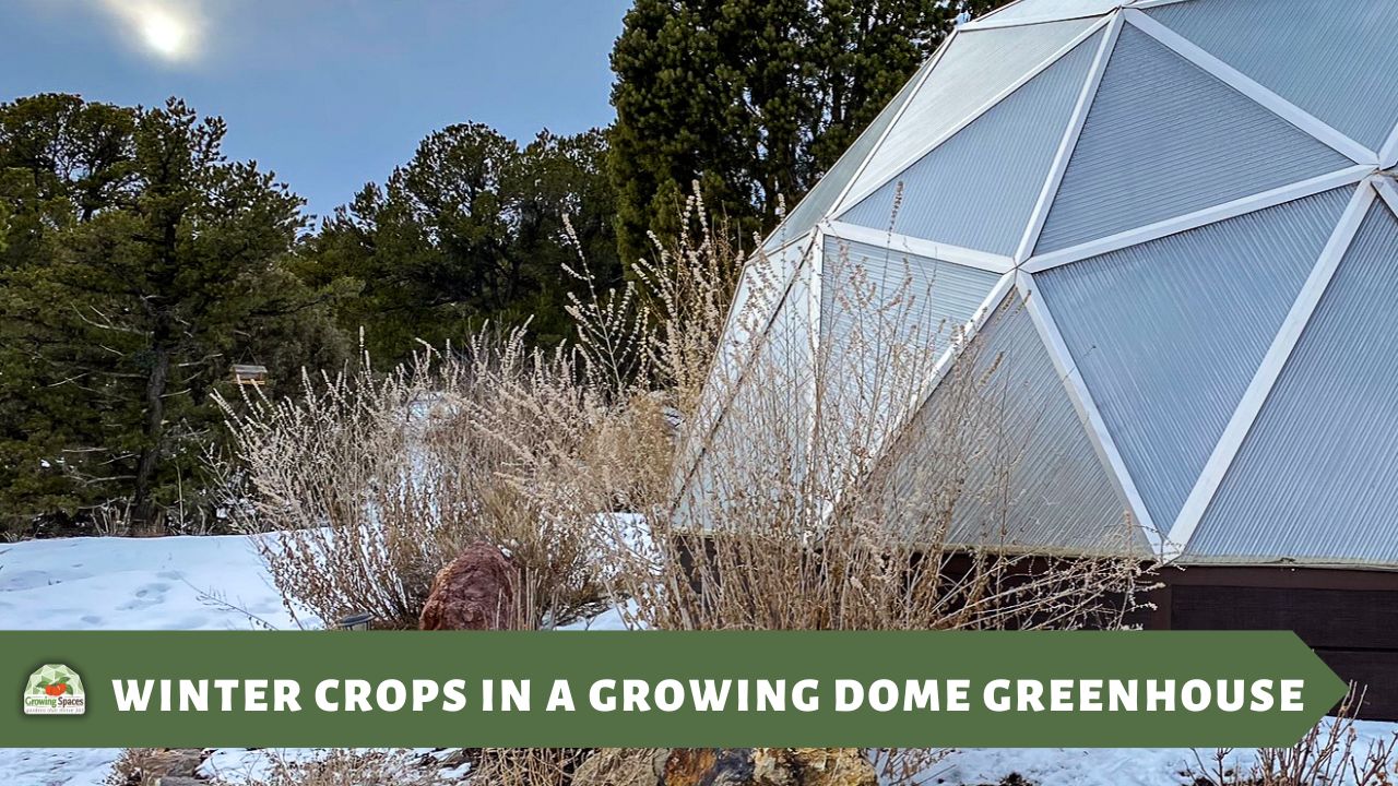 the outside of a geodesic growing dome in winter, snow covers the ground 