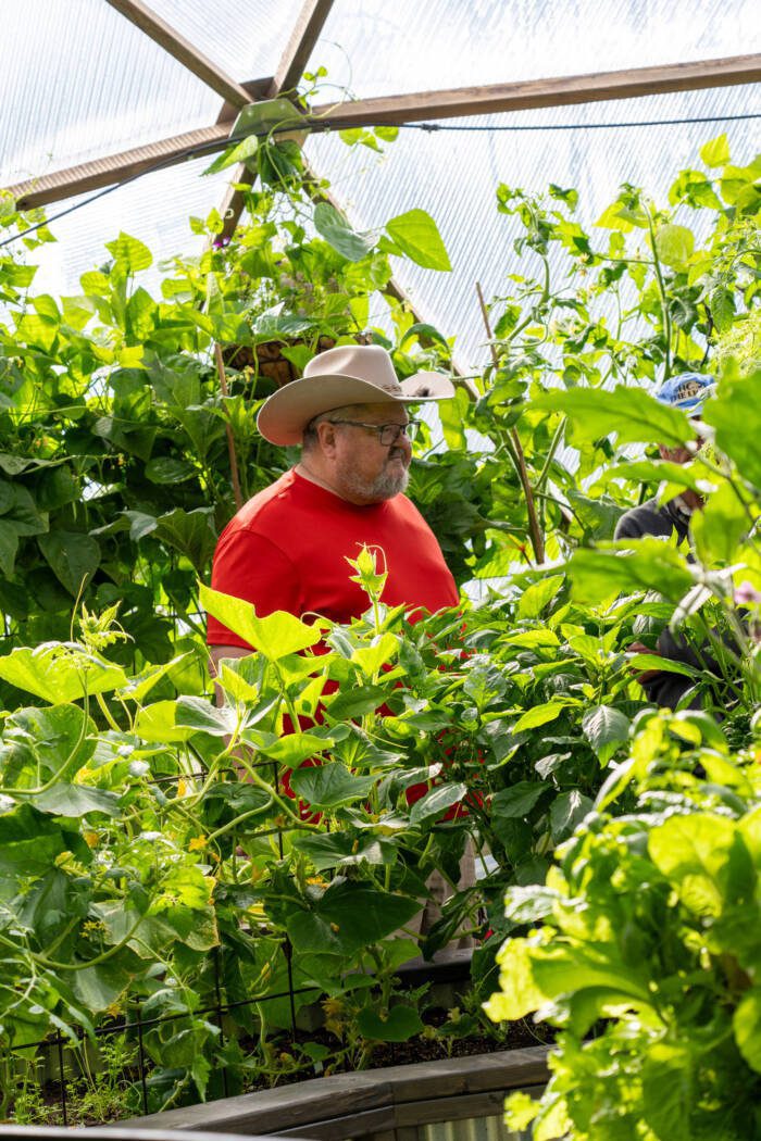 customer in a red shirt and cowboy hat amongst a jungle of plants growing in a 33' greenhouse