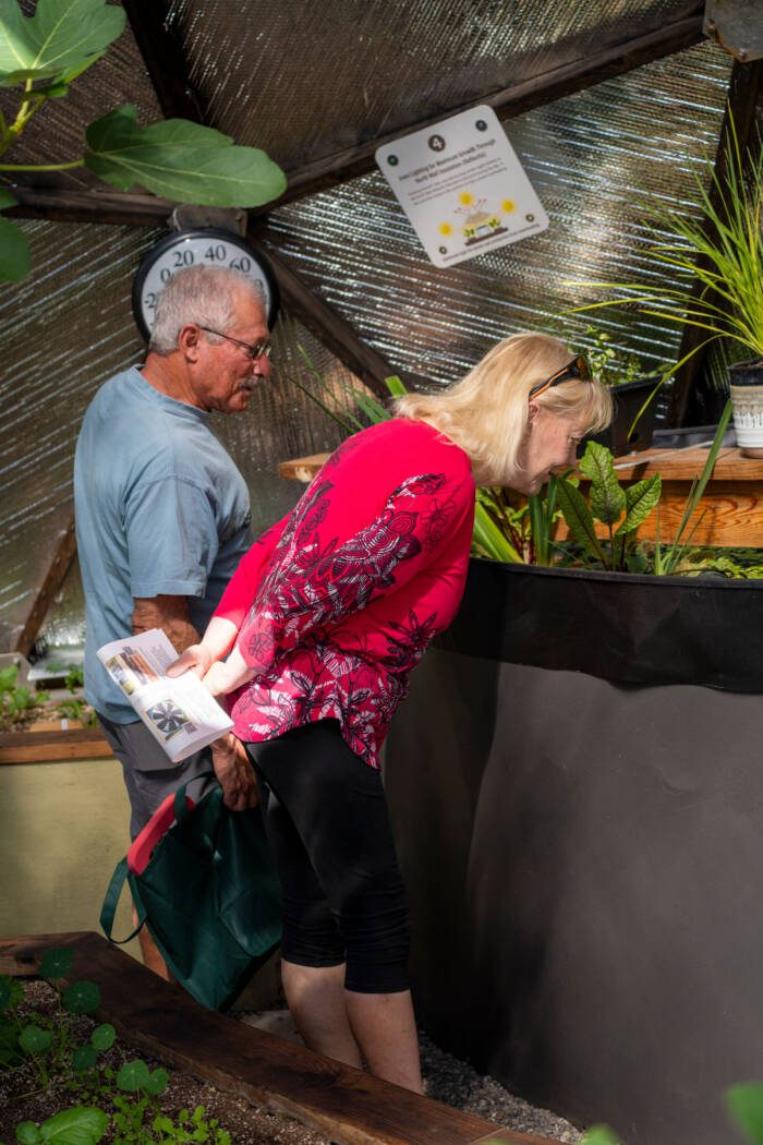 customers peer into an above-ground pond