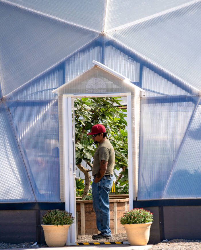 person standing in the doorway of a geodesic dome greenhouse