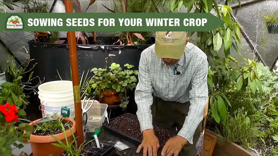 founder Udgar Parsons planting seeds