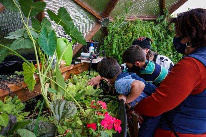 6252021 206743131_10158198734723201_3185160573921883957_n - Growing Spaces Greenhouses an adult holding up kids so they can see the pond plants