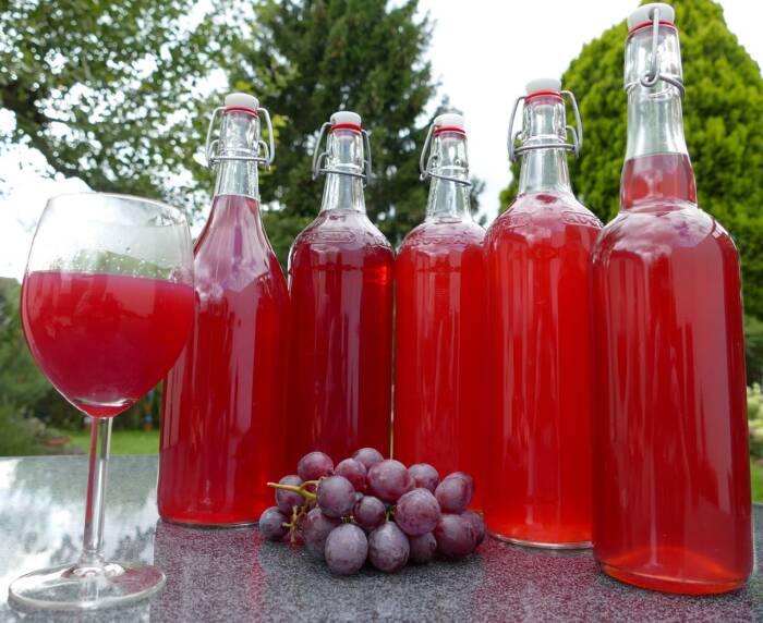 grape-juice-2758894_1280 - Growing Spaces Greenhouses grapes and grape juice Pixaby photo