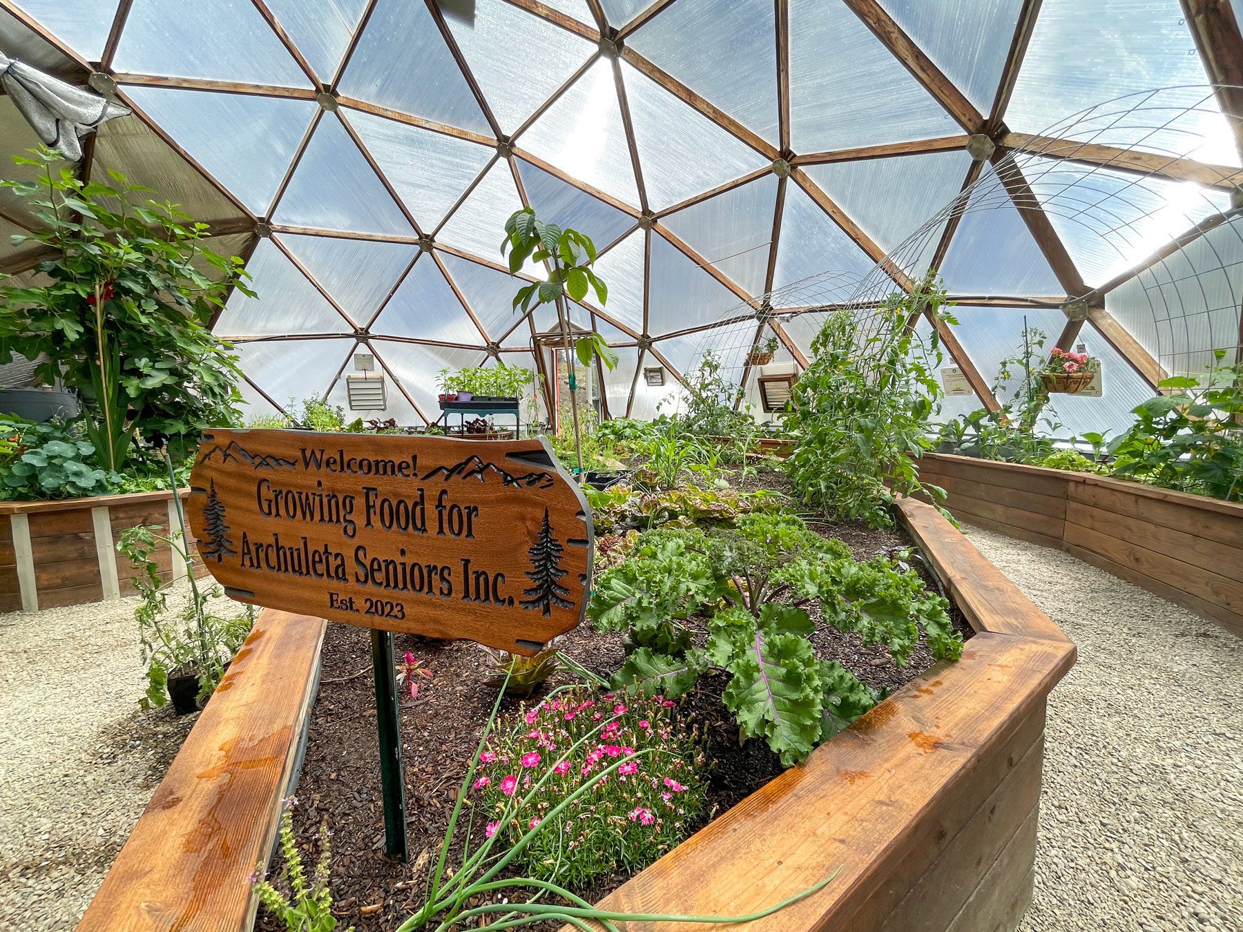 42_seniors_dome - Growing Spaces Greenhouses inside 42' geodesic dome growing food for Archuleta County Seniors