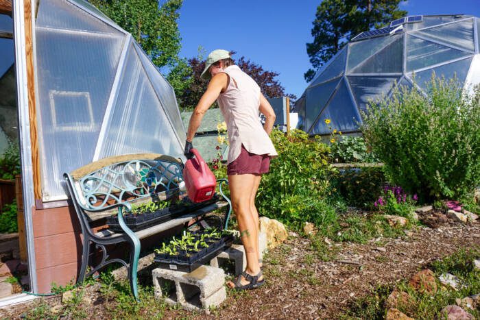 watering_can_plants - Growing Spaces Greenhouses person outside of a couple of growing dome greenhouses using a water can on trays of seedlings
