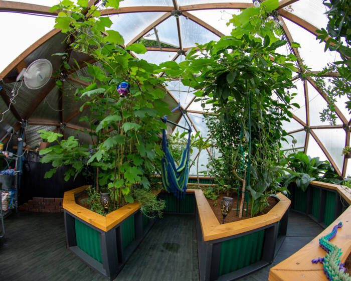 tropical forest garden in a 22' Growing Dome greenhouse
