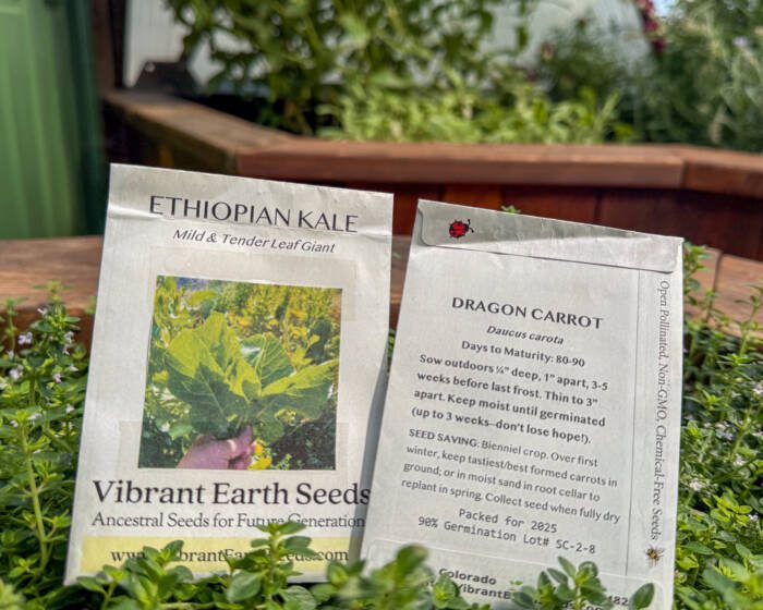 Two Vibrant Earth seed packets propped up in a thyme plant