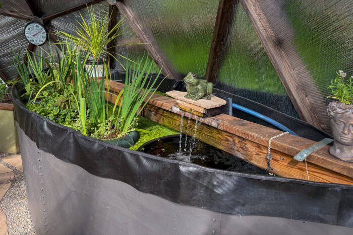 Pond with grey sheet metal walls filled with water and green aquatic plants. A water feature in the foreground has a green frog statue resting on decorative flagstone.
