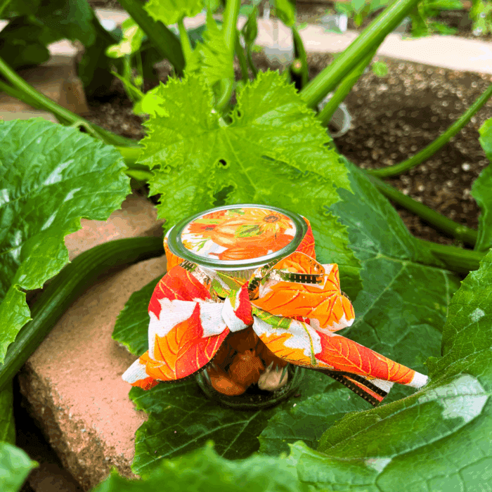 spice covered almonds in a decorative jar