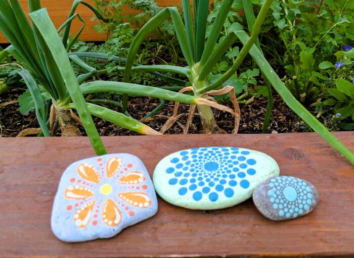 hand painted rocks on a raised garden bed rail with onions growing in the background