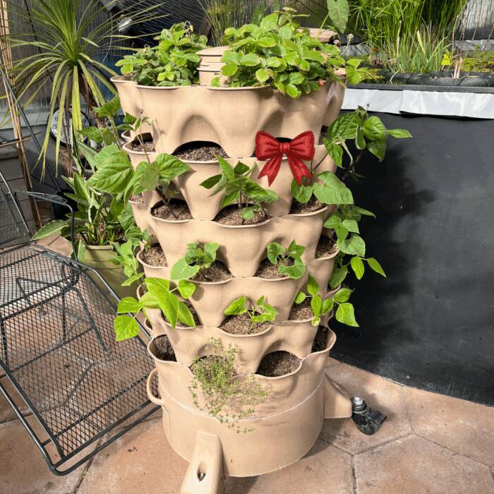 Garden Tower vertical gardening system inside a greenhouse next to above-ground pond