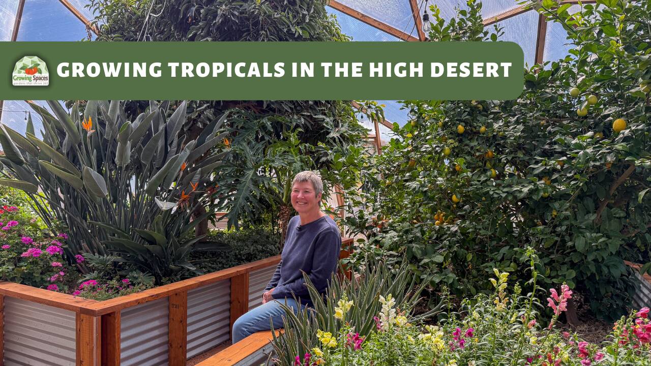 Woman seated in a greenhouse surrounded by lush tropical plants with text overlaying the image