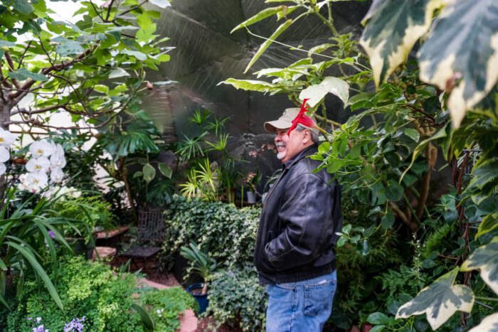 Man smiling standing in a lush forest garden greenhouse 