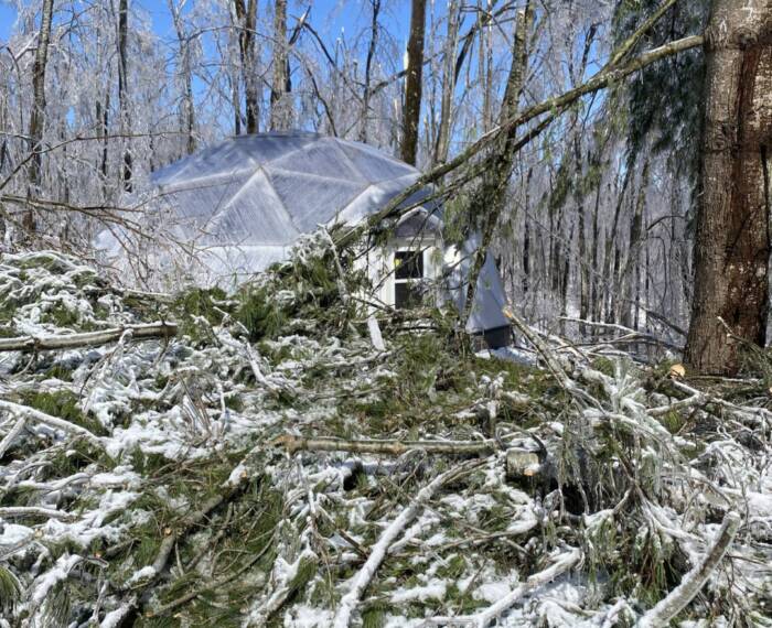 Nedam-Wind - Growing Spaces Greenhouses A 26' Growing dome with large amount of fallen tree branches in front of it